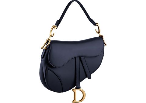 Dior's Saddle Bag